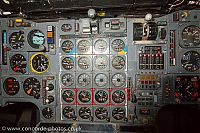 IMG_2477.jpg