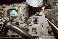 IMG_2488.jpg