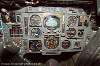 IMG_2489.jpg
