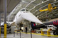 IMG_2531.jpg