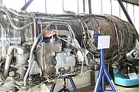 IMG_7295-01.jpg