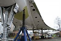 IMG_2655-01.jpg