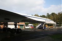 IMG_1249-01.jpg