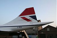 IMG_1251-01.jpg