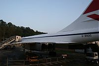 IMG_1252-01.jpg