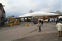 IMG_2786-01.jpg