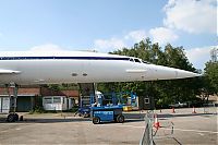 IMG_7359-01.jpg