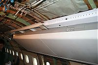 IMG_6683-01.jpg