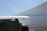 IMG_7695-01.jpg