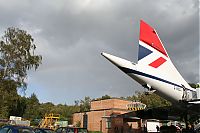 IMG_1343-01.jpg