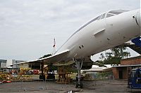 IMG_7463-01.jpg
