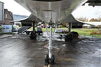 IMG_1564-01.jpg