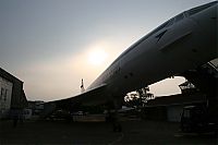 IMG_9338-01.jpg