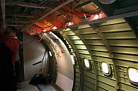 IMG_6921-01.jpg