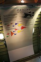 IMG_6922-01.jpg