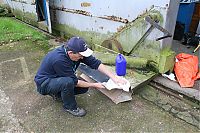 IMG_1374-01.jpg