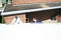 IMG_7098-01.jpg