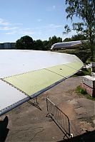 IMG_7125-01.jpg