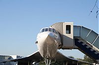 IMG_1395-01.jpg