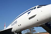 IMG_1400-01.jpg