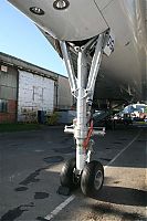 IMG_1464-01.jpg