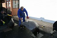 IMG_1481-01.jpg