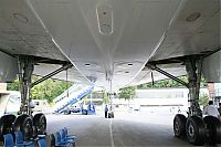 IMG_1012-01.jpg
