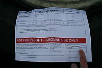 IMG_2310-01.jpg