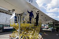 IMG_0490-01.jpg