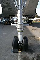 IMG_2454-01.jpg
