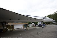 IMG_9146-01.jpg
