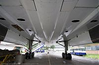 IMG_9187-01.jpg