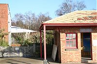 IMG_2045-01.jpg