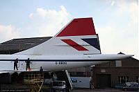 IMG_4003-01.jpg