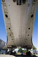 IMG_8802-01.jpg