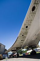 IMG_8806-01.jpg
