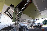 IMG_8904-01.jpg