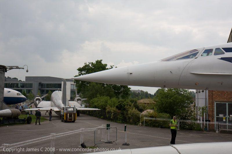 IMG_3488-01.jpg