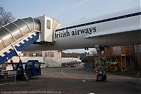 IMG_9030-01.jpg