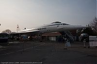IMG_9041-01.jpg