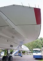 IMG_2420-01.jpg
