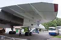 IMG_2423-01.jpg