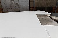IMG_7512.jpg