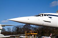 IMG_9654.jpg