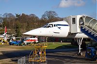 IMG_9656.jpg