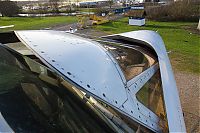 IMG_9664.jpg
