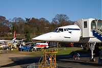 IMG_9666.jpg