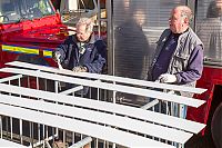 IMG_9701.jpg