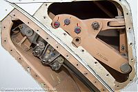 IMG_9898.jpg