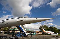 IMG_9988.jpg